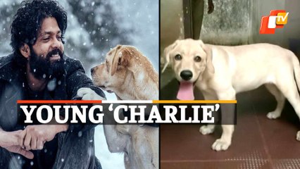 Inspired By 'Charlie 777', Mangaluru Police Names Their Dog 'Charlie'