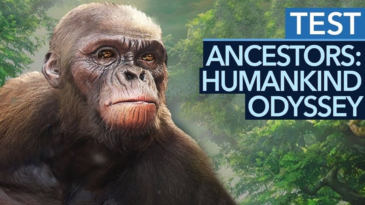 Ancestors: The Humankind Odyssey - Test-Video zum Evolutionsspiel