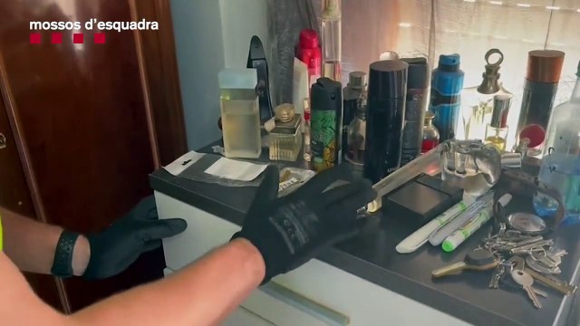 Mossos desmantelan plantaciones de marihuana en Esparreguera