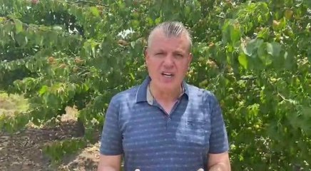 Ayhan Barut'tan Bakan Soylu'ya: "Afgan Çobanlar Olmadığı Zaman Bizim Tarımımız Yürümeyecek Mi?"