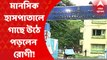 Pavlov Mental Hospital: পাভলভ মানসিক হাসপাতালে গাছে উঠে পড়লেন রোগী। নামাতে হিমশিম খেলেন হাসপাতালের কর্মীরা। Bangla News