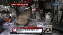 Babaeng 52 na ang naampong pusa, nagpagawa ng bahay para sa mga furbaby | 24 Oras Weekend