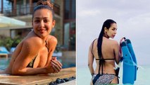 Malaika Arora Bikini Look Viral, Swimming Pool में Flaunt किया Curvy Figure |Boldsky *Entertainment