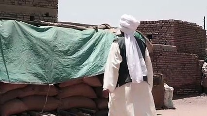 في السودان أزمة قمح لكن المزارعين يجدون صعوبة في تصريف إنتاجهم