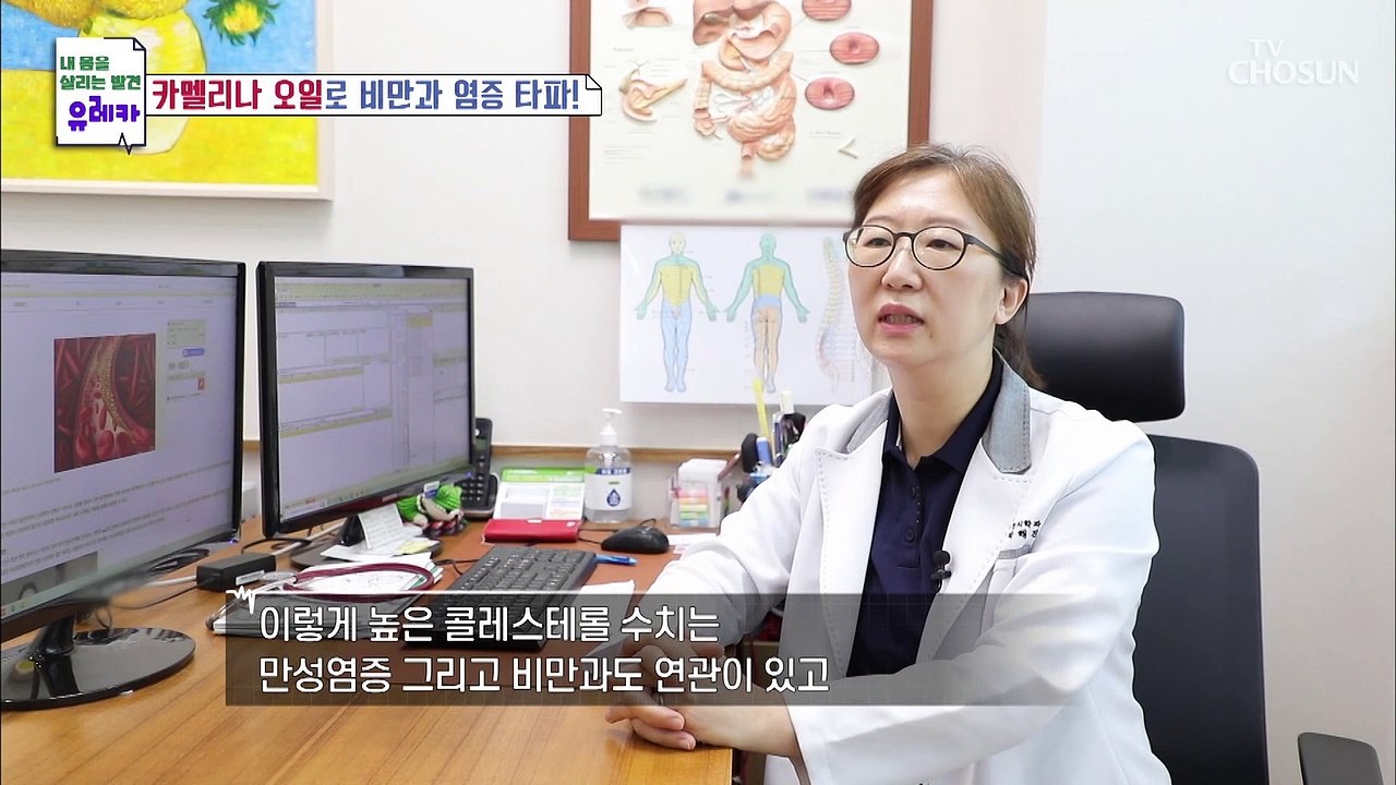 콜레스테롤 농도+심혈관 위험 개선에도 탁월한 효자템↗ TV CHOSUN 2022061...
