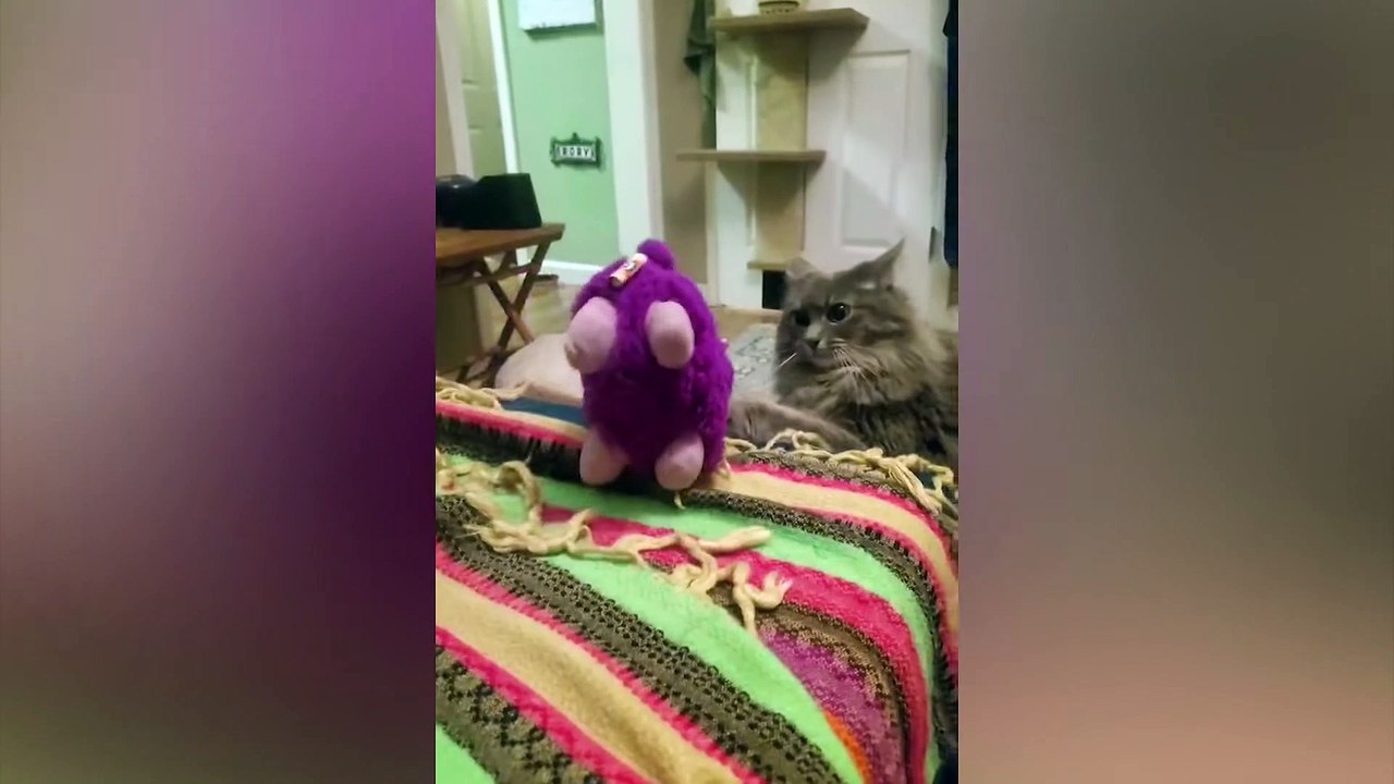 Funniest Cats and Dogs Videos That Make You Laugh In 20 Second - Best Funny Animal Videos #8