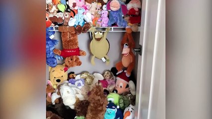 Funny Animal Videos  Funniest Cat Videos Of The Week   Cute Pets #43