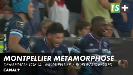 Montpellier métamorphosé, l'UBB à reconstruire - Demi-finale TOP 14