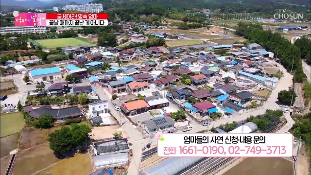 하루 종일 일만 해도 24시간이 모자란 영숙 엄마의 사연 TV CHOSUN 20220619 방송