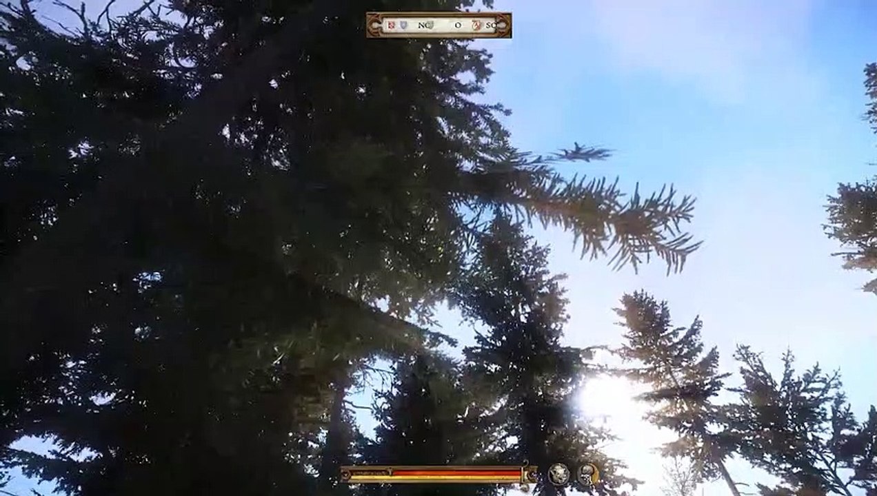 Wo guckst du bitte hin?! Kingdom Come: Deliverance #15 (Part 2)