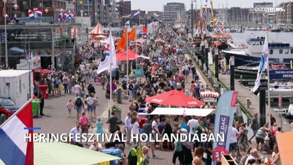 A heringszezon kezdetét ünneplik Hollandiában
