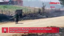 Çanakkale'de tarladaki yangın ormana sıçradı