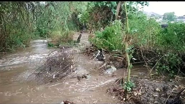 खेत में भरा नाले का बरसाती पानी