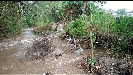 खेत में भरा नाले का बरसाती पानी