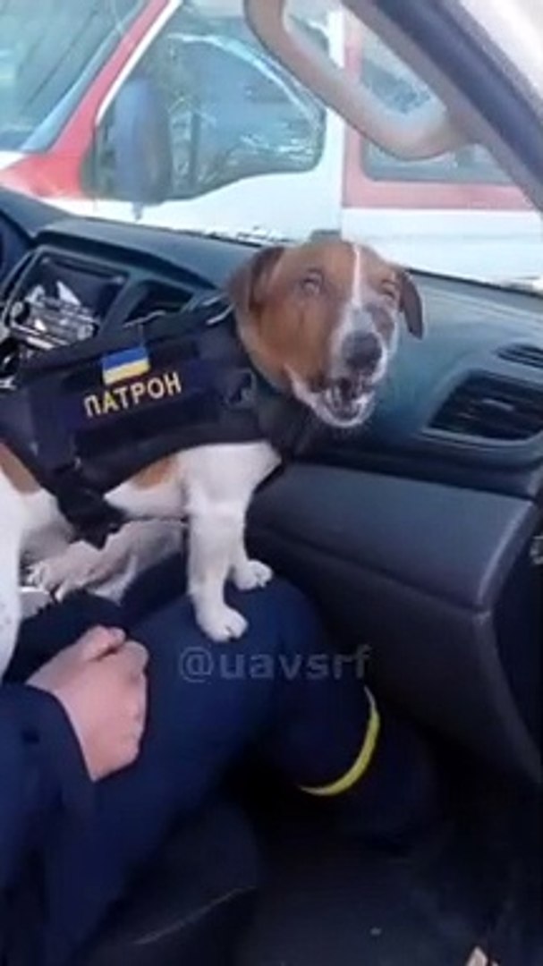 ⁣Популярность