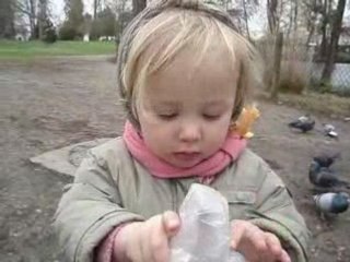 Les Pigons-die Tauben - 12.03.2008