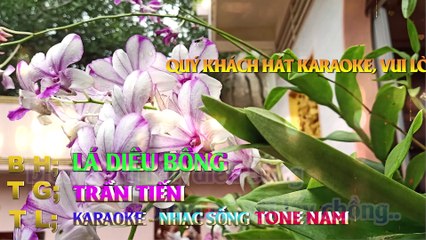Lá Diêu Bông Karaoke Tone Nam - Nhạc Cha Cha - Karaoke Minh Nhẫn