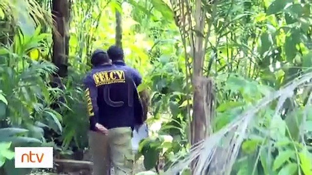 Encontraron el cuerpo sin vida de una adolescente que estaba reportada como desaparecida