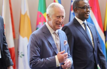 Lead the world in the right direction: Prince Charles urges Commonwealth leaders to create a sustainable future