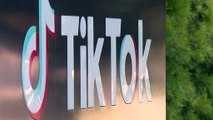 TikTok vai lançar álbum de música com sucessos virais