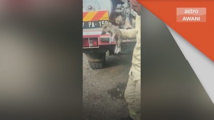 Kebakaran | Operasi pemadaman di Turki diteruskan, disertai negara luar