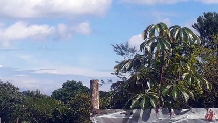 Airbus A321 PT-XPF vindo de Brasília para Manaus