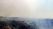 Numerosi incendi nel Vibonese: distrutti 8 ettari di bosco. In azione anche due canadair