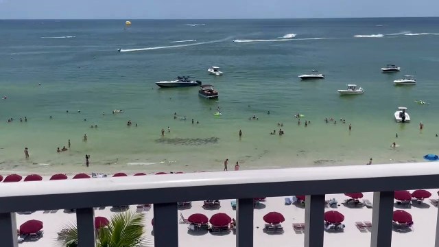 School of Sting Rays Swim By Beachgoers