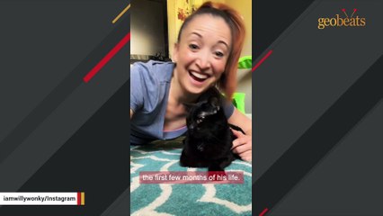 No one wanted this black cat with birth defect. Then this woman gave him a chance.