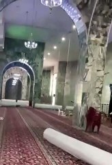 "الشؤون الإسلامية" تباشر أكبر مشروع لفرع جامع الملك فهد بالطائف