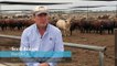Economic impact of FMD | June 2022 | Queensland Country Life