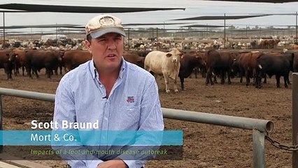 Economic impact of FMD | June 2022 | Queensland Country Life
