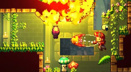 Eagle Island - Gameplay aus dem 2D-Plattformer