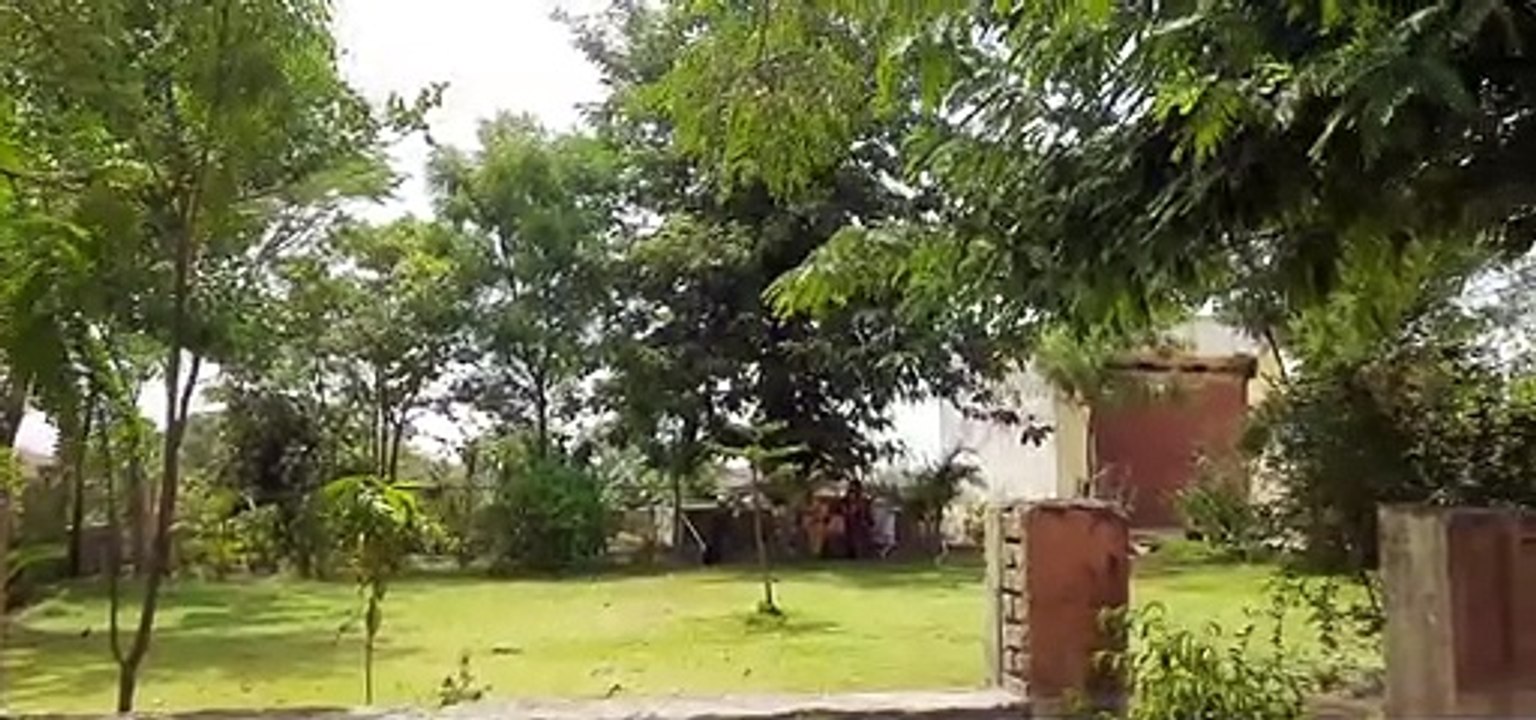 जिले में हरियाली बढ़ाने का उठाया बीड़ा
