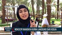 Berburu Kurma Ajwa dan Kurma Medjool di Madinah
