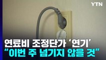 정부, 전기요금 조정단가 결정 연기...인상 폭 '고심' / YTN