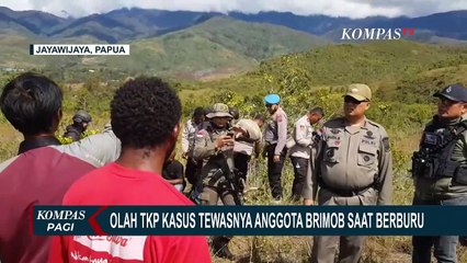 Polisi Gelar Olah TKP Kasus Tewasnya Anggota Brimob di Papua, 5 Saksi Dihadirkan