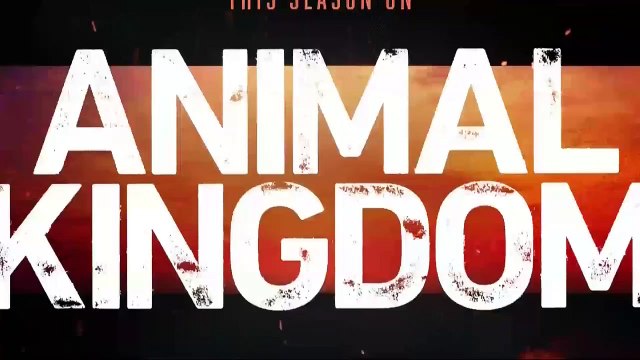 Animal Kingdom S06E03 Pressure and Time