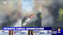Sécheresse et canicule: des centaines d'hectares partis en fumée ce week-end