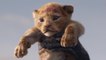 Der König der Löwen - Simba ist im ersten Teaser-Trailer zu Disneys Realverfilmung zurück