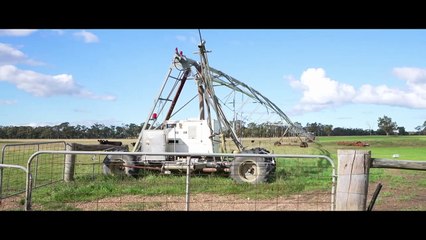 Potatoes and beef at Bengworden | June 2022 | Stock & Land