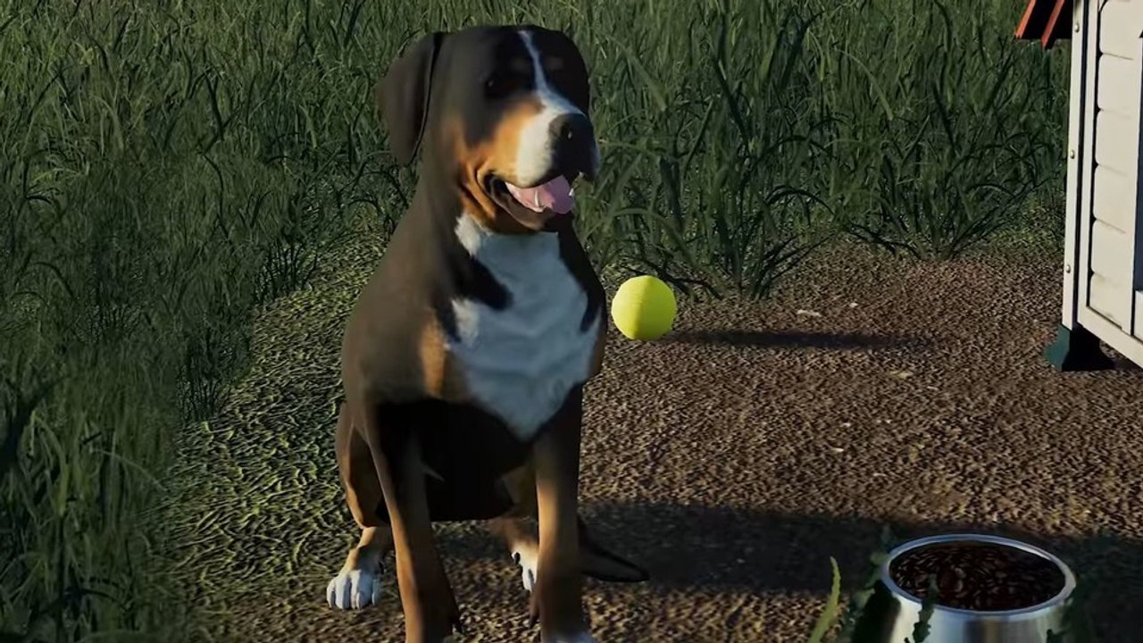 Landwirtschafts-simulator 19  - pferde, hunde und hühner im tier-trailer