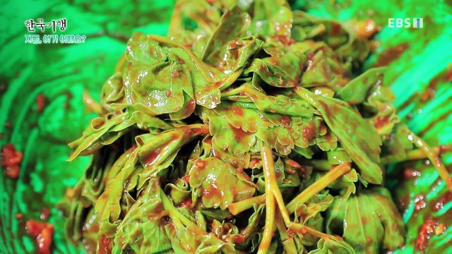 한국기행 - Korea travel_지금, 여기 어때요? 1부- 추자군도 기행_#002