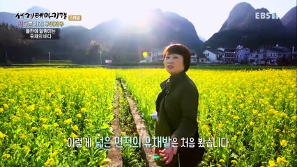 세계테마기행 - 색다른 사계- 유채꽃 봄, 윈남, 구이저우_#003