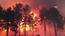 Son dakika: İspanya'da orman yangınları sürüyor