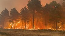 İspanya'da orman yangınları sürüyor