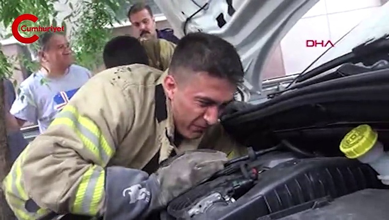 Avcılar'da bir günde kedi ve yılan çıkarma operasyonu