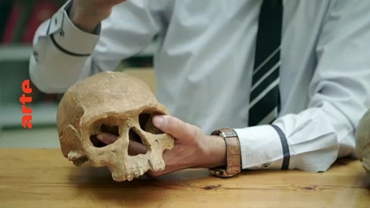 Homo sapiens, les nouvelles origines - 25 juin