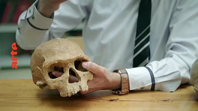 Homo sapiens, les nouvelles origines - 25 juin