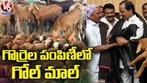 Farmers Facing Problems On Sheep Purchase In Nalgonda _ V6 News (2)